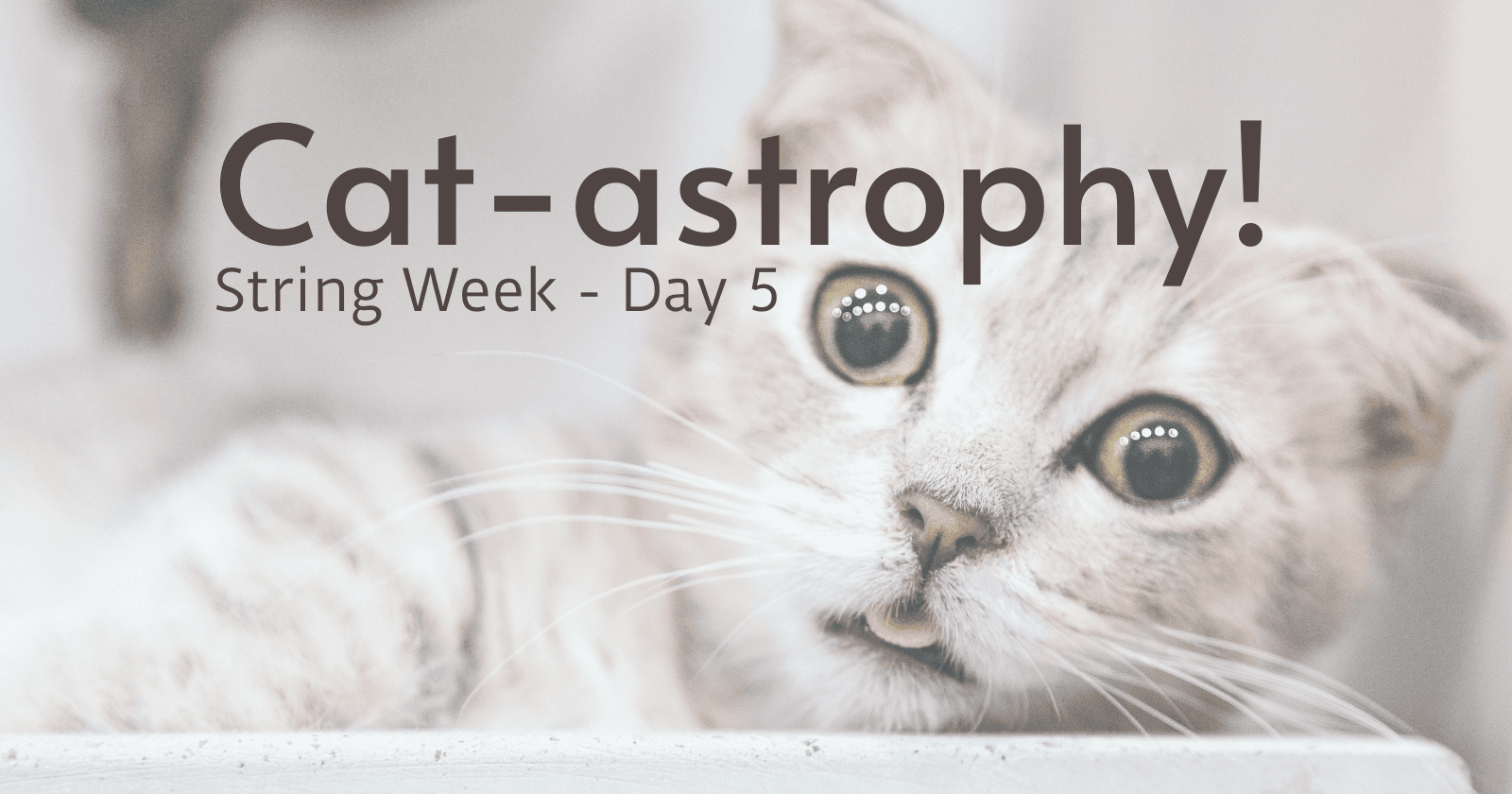 String Week Challenge - Day 5